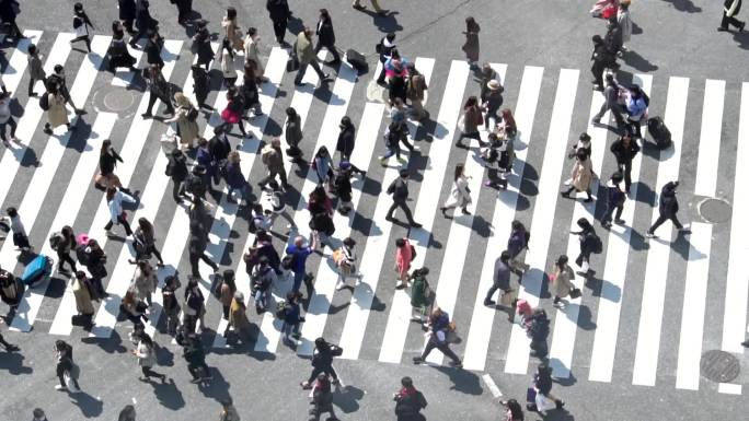 涉谷行人过人行横道