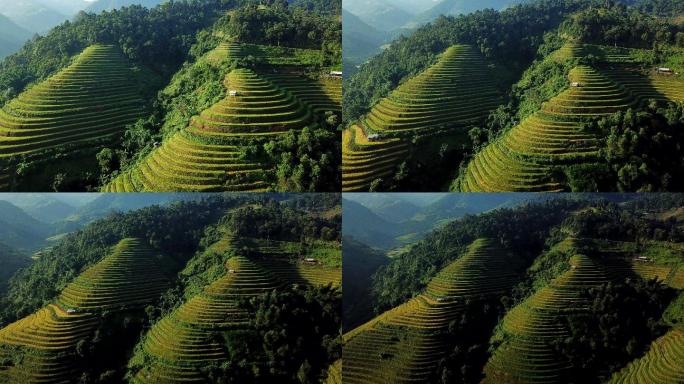 越南西北部稻田鸟瞰图
