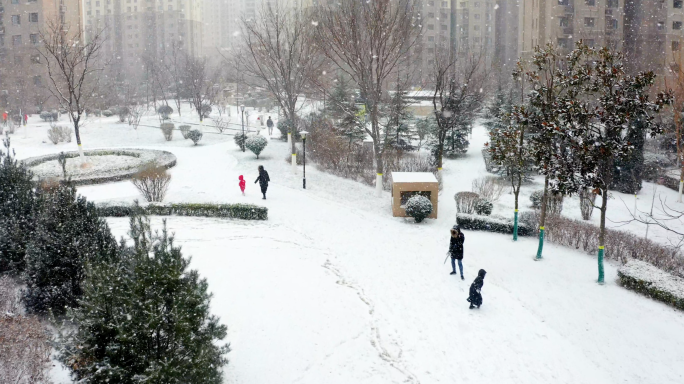 唯美冬天雪景-小区大雪城市大雪