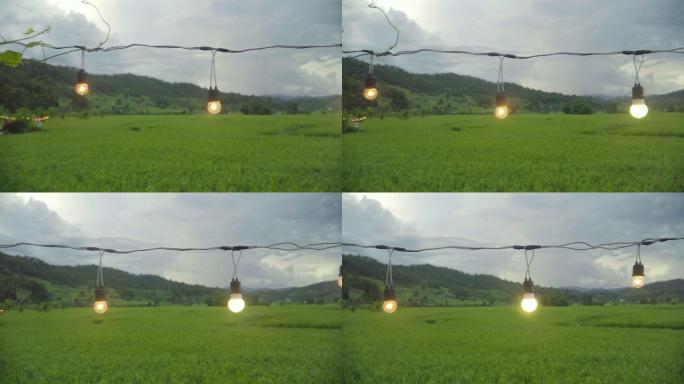 雨后稻田装饰灯创意拍摄