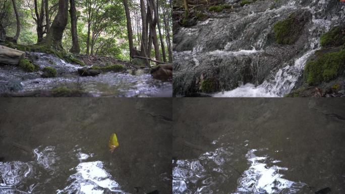 【4K】户外山间溪流水池