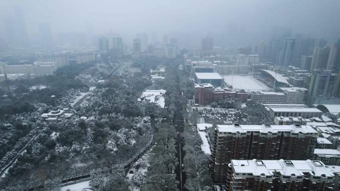 南方城市雪景下雪