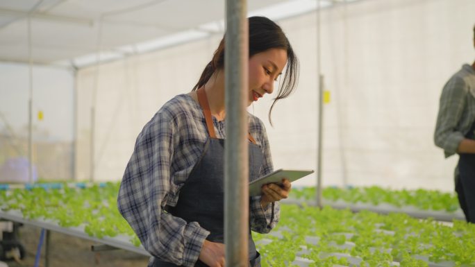 女农场主走到温室里生长的水培农场检查