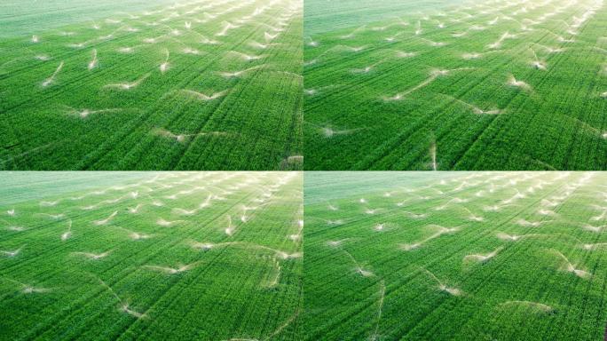 草地农业灌溉系统乡村振兴新农村建设三农业