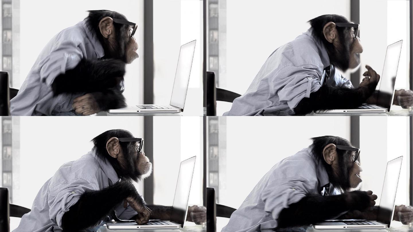 猴子商务办公室