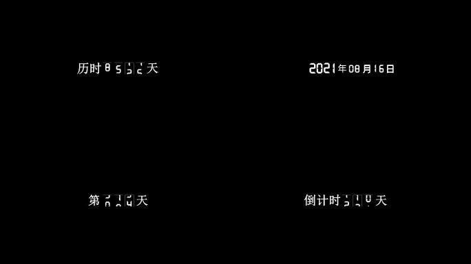 数字日期日历年月日展示