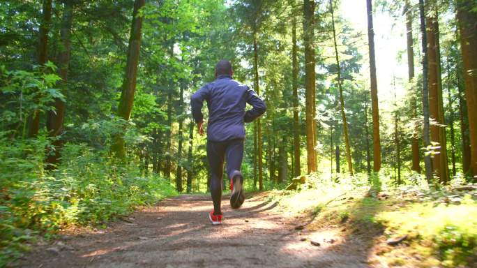 男子跑步者在阳光下的森林小道上跑步