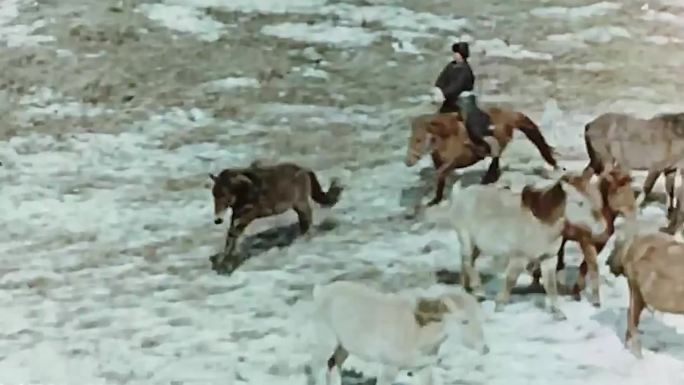 50年代蒙古族牧民训马放牧 儿童雪地玩耍