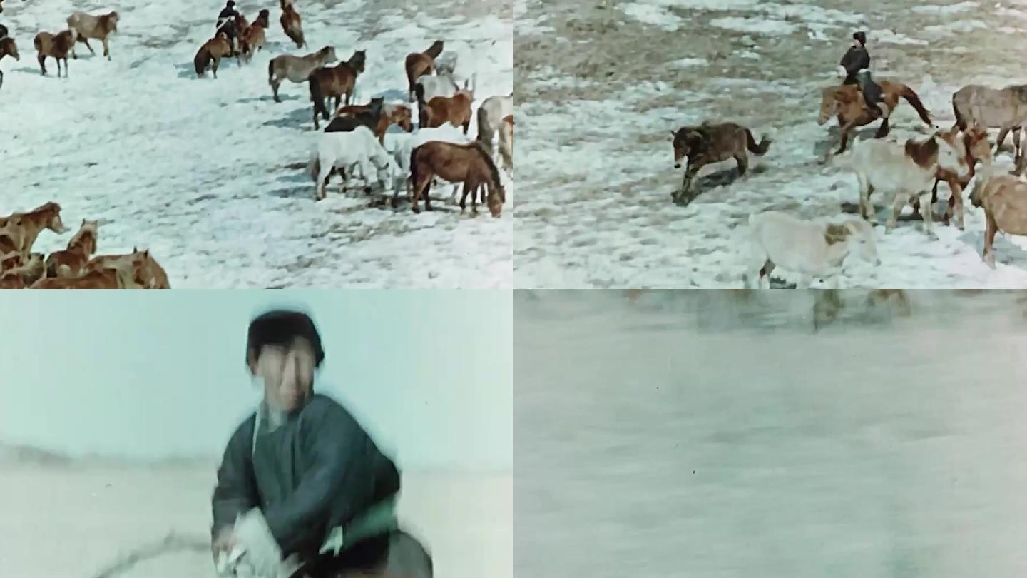 50年代蒙古族牧民训马放牧 儿童雪地玩耍