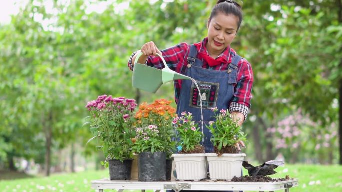 女人在花园里种花并浇水。