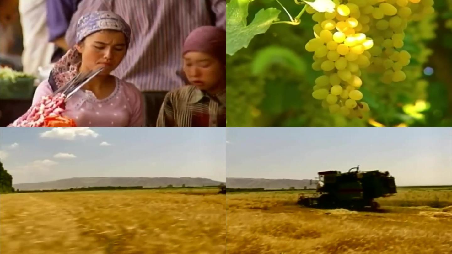 80年代新疆百姓生活-农副业生产