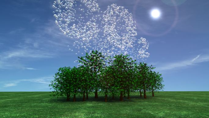 碳捕获-光合作用唯美阳光穿过梧桐树树叶逆