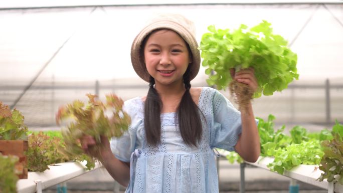 可爱的女孩在温室里收获水培蔬菜时很开心