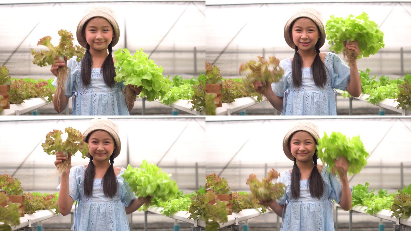 可爱的女孩在温室里收获水培蔬菜时很开心