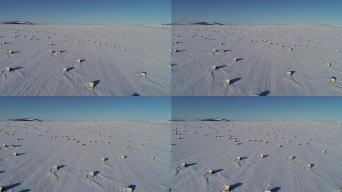 北方大雪覆盖的田地里打完捆的玉米等待离田