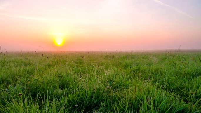 日出中的草地草原草坪绿化植被空镜空境