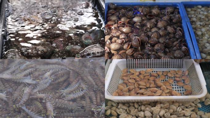 海鲜市场出售的各类海鲜
