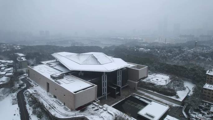湖南省博物馆雪景