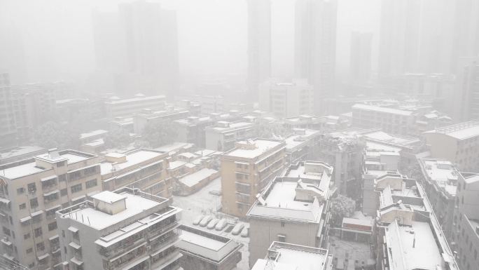 城市下大雪雪景