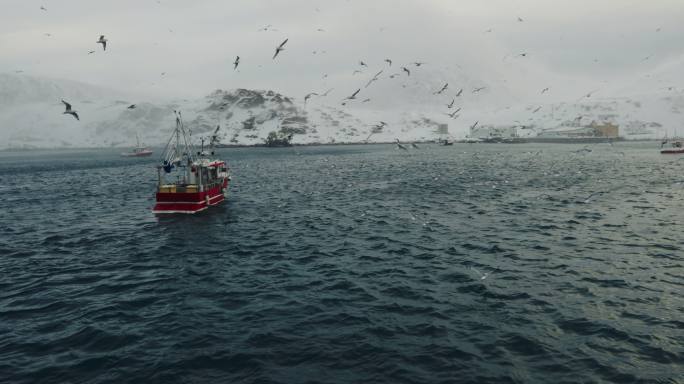 在北冰洋捕捞鳕鱼出海远洋海鸟纷飞海面海水