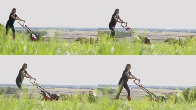 一个中年妇女在葡萄园割草
