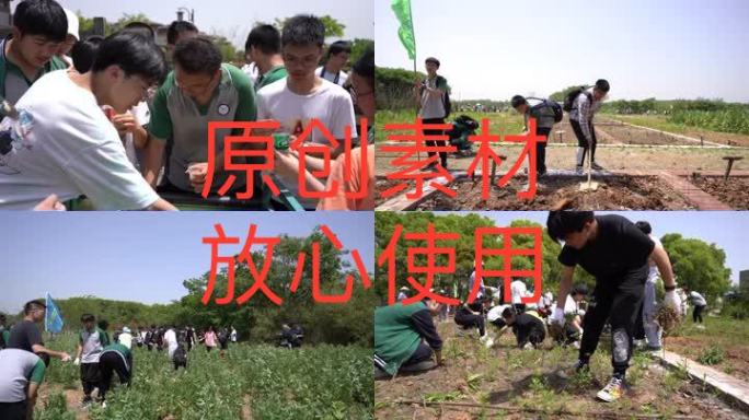 【4K高清原创】学生户外实践 农田