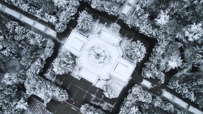 革命烈士纪念塔雪景-烈士公园4K素材