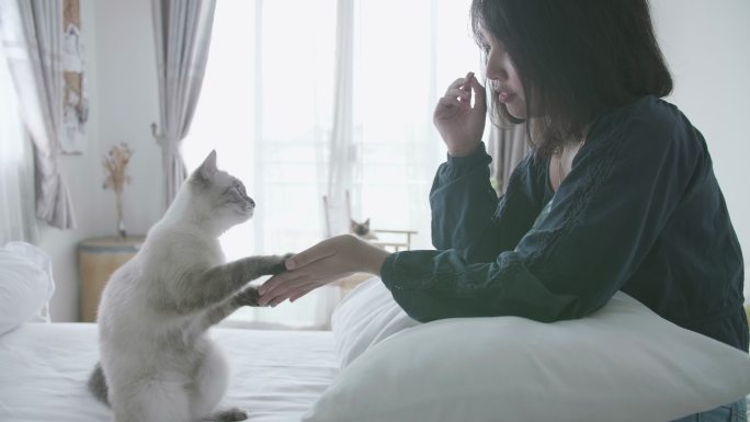 在床上女人和猫一起玩耍