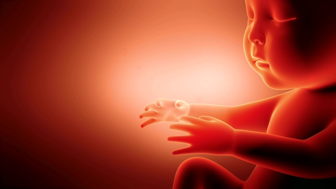 胎儿动画孕育生命新生产科产房妇产科医院妇