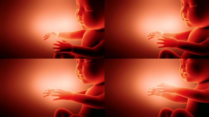 胎儿动画孕育生命新生产科产房妇产科医院妇