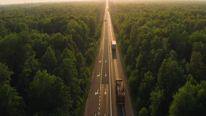 公路运输的卡车树林贯穿森林的道路高速公路