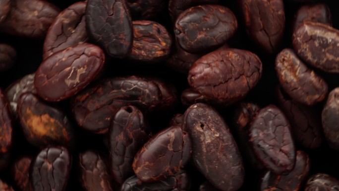 可可豆可可豆特写实拍咖啡豆