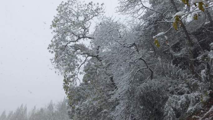 唯美中国古风雪景-03