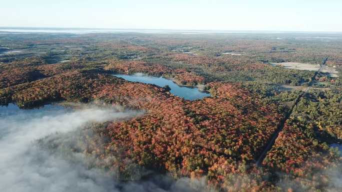 清晨的烟雾笼罩着秋天的湖面和森林