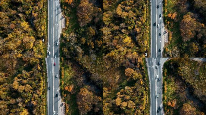 在公路上移动的汽车