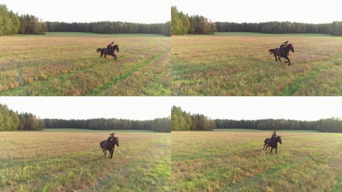 黑发女孩骑马。策马奔腾跟随拍摄自然生态