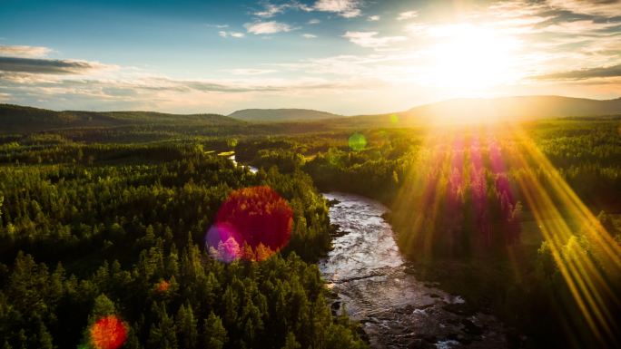 瑞典北部森林的空中拍摄
