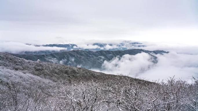 雷公山森林公园冬天云雾缭绕