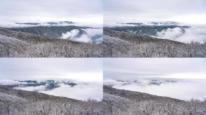 雷公山森林公园冬天云雾缭绕