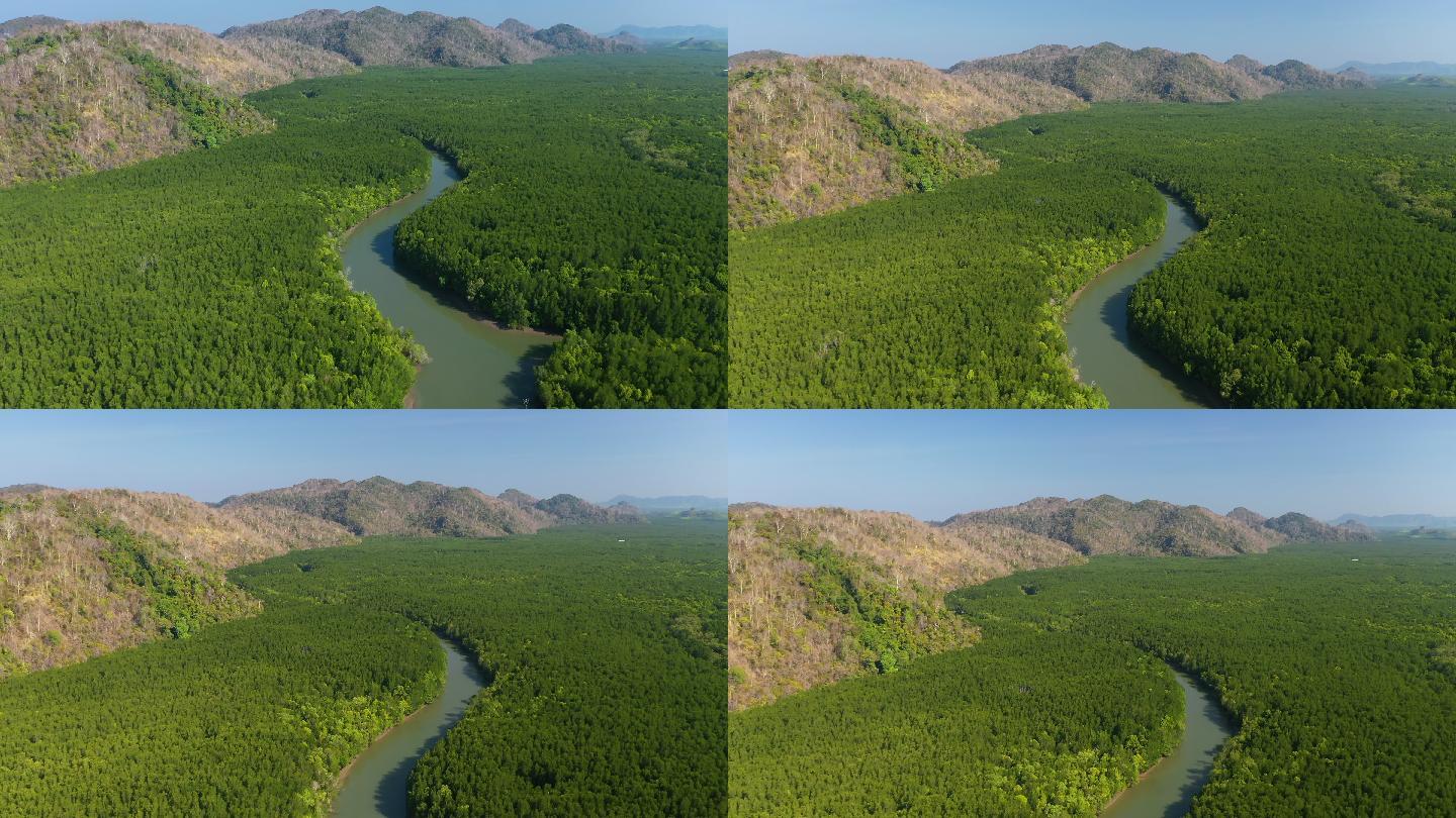 热带雨林和许多河流的鸟瞰图