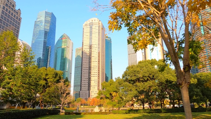 上海陆家嘴秋意浓城市风景