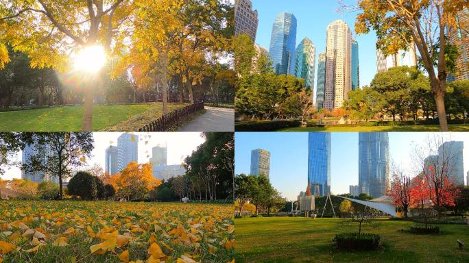 上海陆家嘴秋意浓城市风景