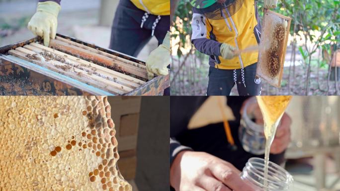 养蜂场中蜂蜂农取蜜劳作画面素材