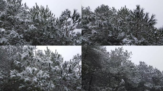 山巅鹅毛大雪漫天飞雪森林大雪纷飞暴风雪