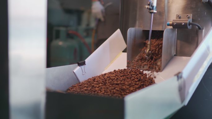 机器加工咖啡豆生产咖啡咖啡豆手冲咖啡