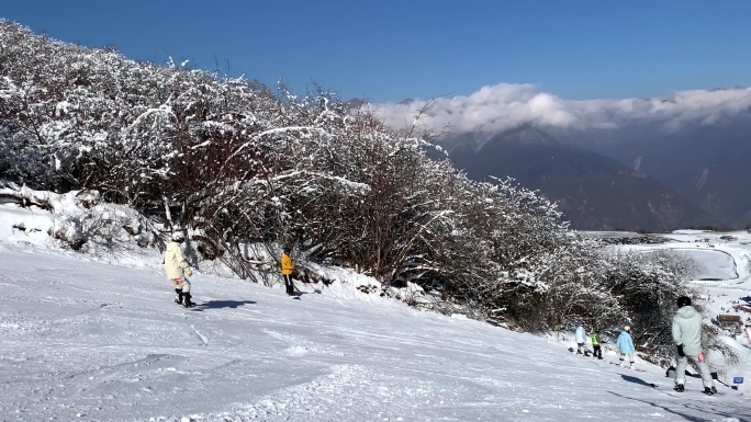 川西高原阿坝九鼎山太子岭滑雪场宣传片头