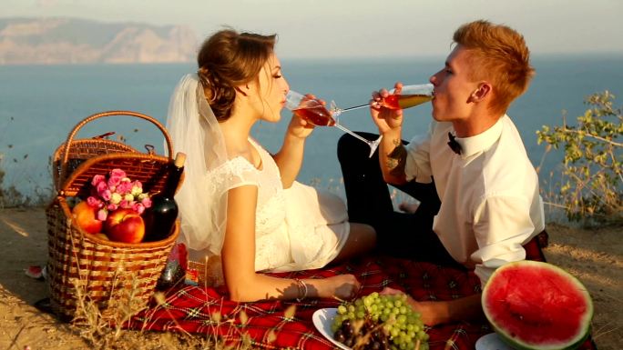 海岸婚礼野餐视频素材