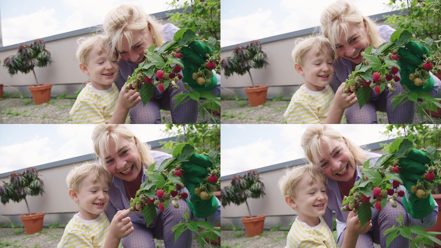 小男孩和他的祖母在花园里