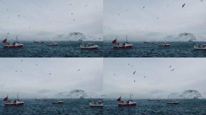 在北冰洋捕捞鳕鱼视频素材