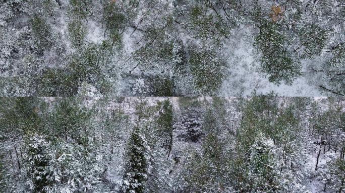 大气航拍森林雪景俯视森林暴风雪大雪纷飞